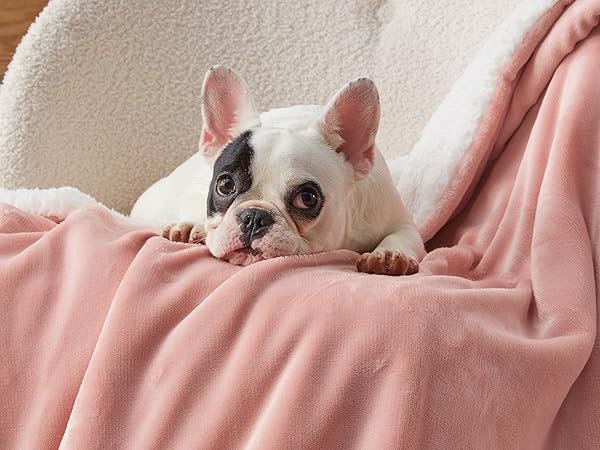 sherpa blanket