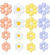 BCCSNNM 16PCS Daisy Balloons, Boho Flower Balloons Aluminum Foil Groovy Daisy Party Decorations f...