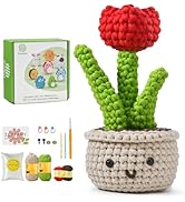 Crochet Flower kit for Teacher Gifts, Crochet Plants with Beginner Crochet Yarn for Crocheting wi...