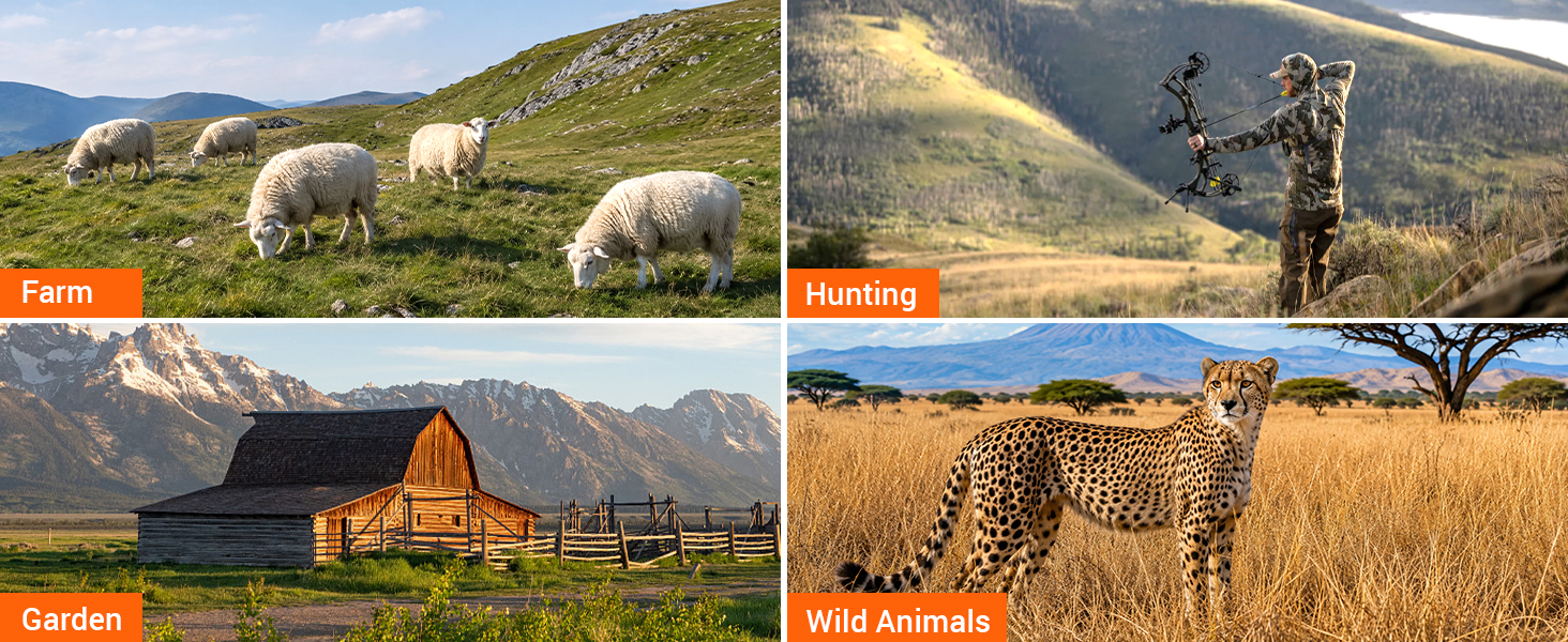 Farm/Hunting/Garden/Wild Animals