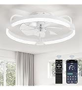 LEDIARY Ceiling Fans with Lights and Remote, 20'' Low Profile Ceiling Fan with Light, 3000-6000K ...