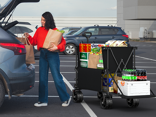Wagon cart for Shopping