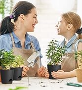 self watering pots for indoor plants