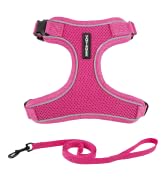 Voyager Escape Proof Cat Harness and Leash Set with Reflective Stitching, Neoprene Handle 5ft - S...