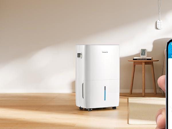 Sensor and Dehumidifier