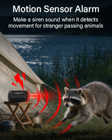 motion sensor alarm weather radio