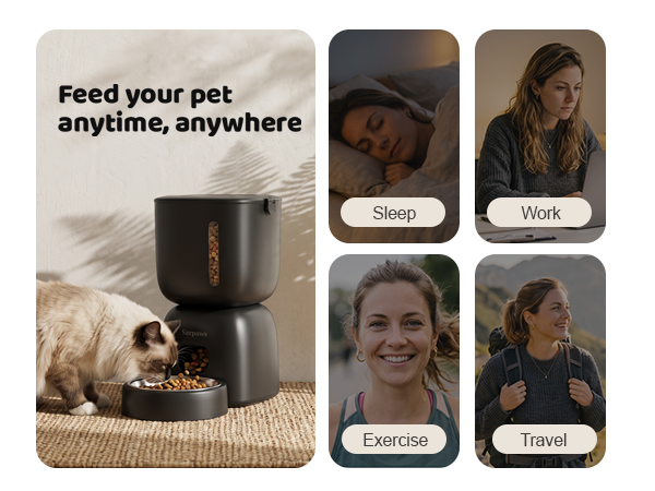 automatic feeder cat dry food,automatic cat feeders,cat auto feeder,dog feeder