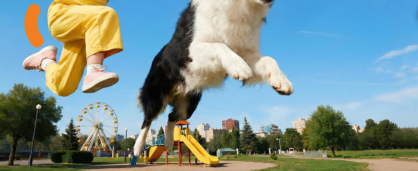 QDAN DOG BALLS