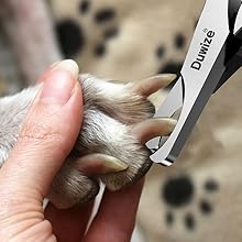 Trimming-Nails