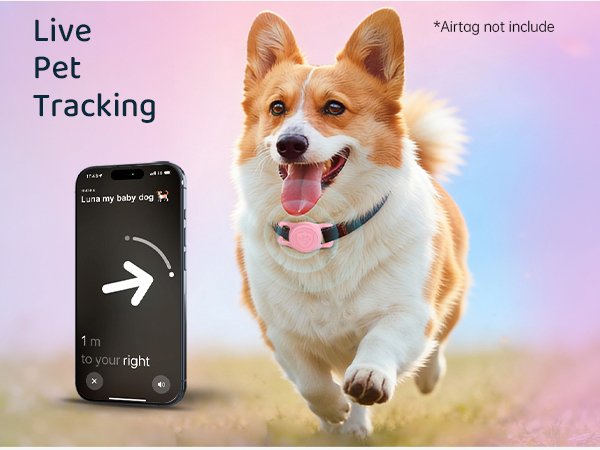 dog collar Airtag holder