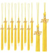 20Pcs Graduation Tassels Academic Graduation Cap Hat Tassel with 2022 Gold Charm for 2022 Graduat...