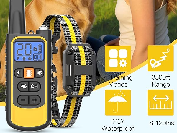 dog shock collar