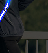 REFLECTIVE SASH