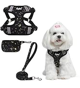 PUPTECK No Pull Dog Harness and Leash Set Reflective No Choke Step in Puppy Halter for XS Small a...