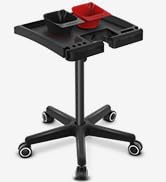 TASALON Ultimate Salon Tray on Wheels,Tray Cart with 2 Magnetic bowls Irony Tattoo Table Station ...