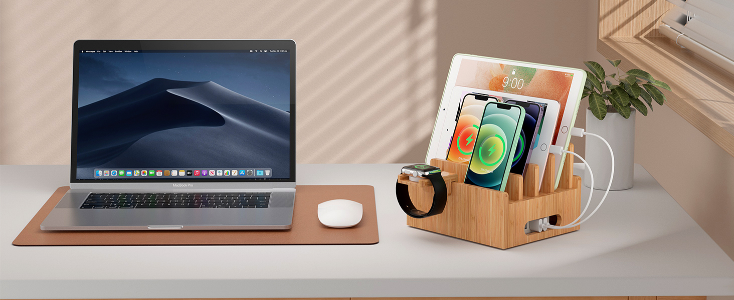 Pezin & Hulin Bamboo Charging Stations