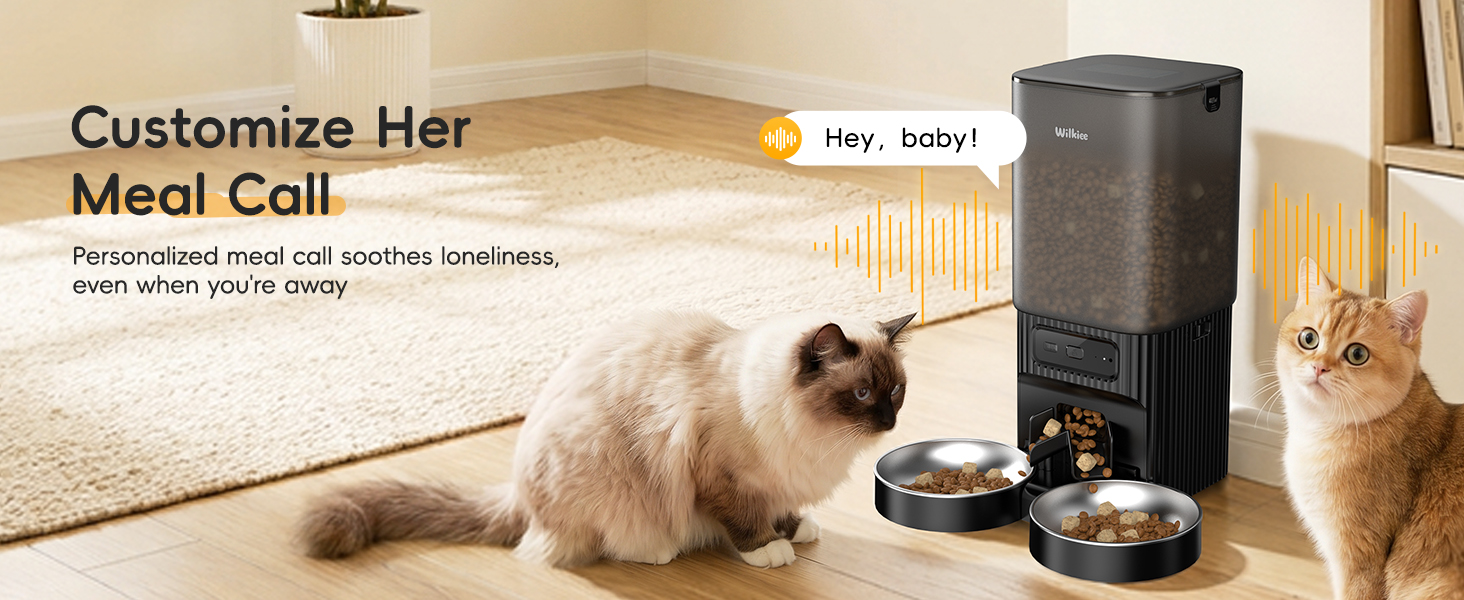 cat automatic feeders
