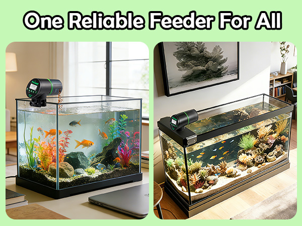 automatic fish feeder for aquarium flakes