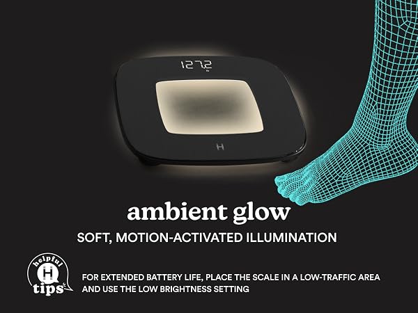 SCL-B100 homedics scales
