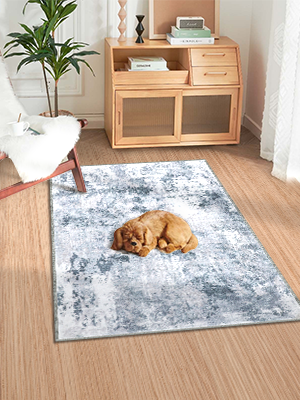 Indoor Door Mat