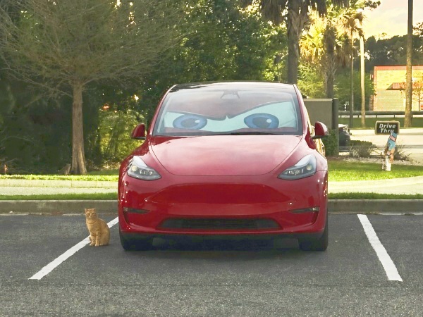 Windshield Sun Shade Umbrella for Tesla Model Y