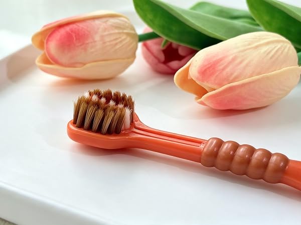 Colorful soft bristle manual toothbrushes for adults