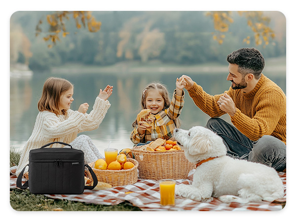 Reusable Cooler for Picnic or Travel