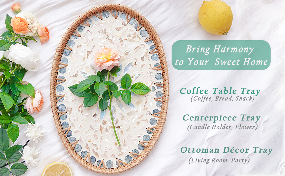 coffee table serving tray 1