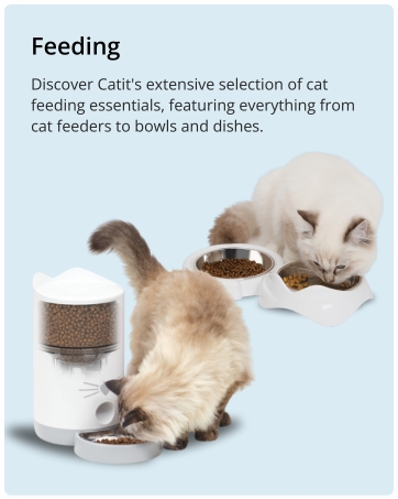 Catit Vesper