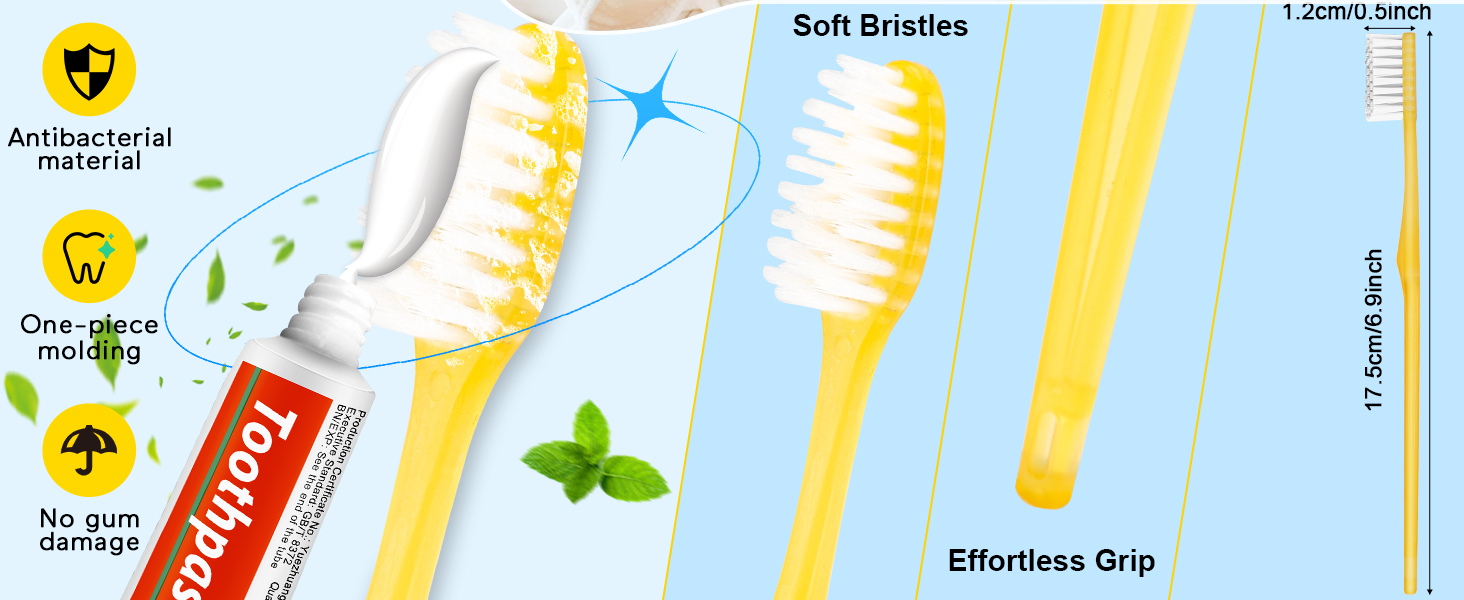 travel toothbrush set