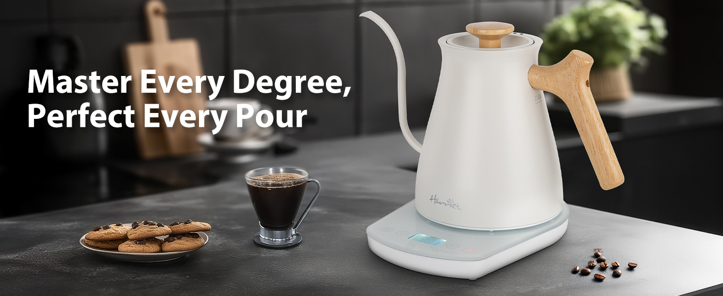 electric tea kettle temperature control