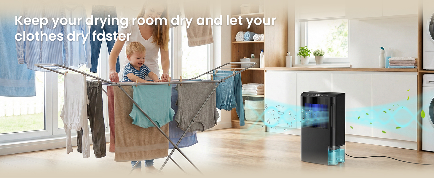 dehumidifier for closet