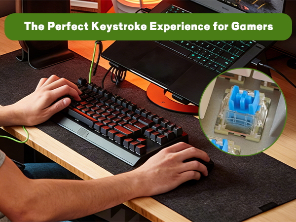 keyboard blue switches click keys keyboard switches thocky clickies key clicker keyboard clicker