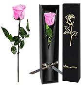 Pink Single Forever Roses Luxury Gift for Women/Men, Fresh Flowers Bouquet for Girlfriend, Wife, ...