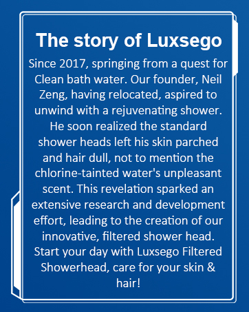 The story of LUXSEGO