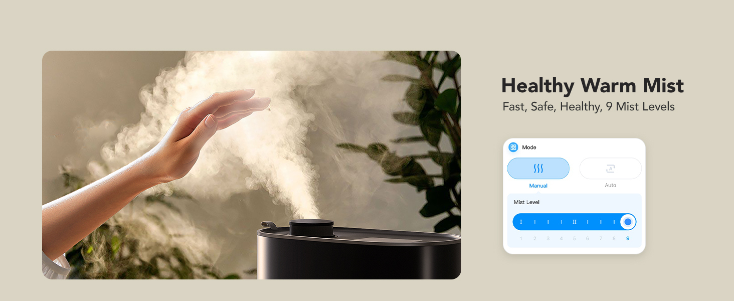 Healthy Warm Mist