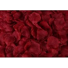 red rose petals