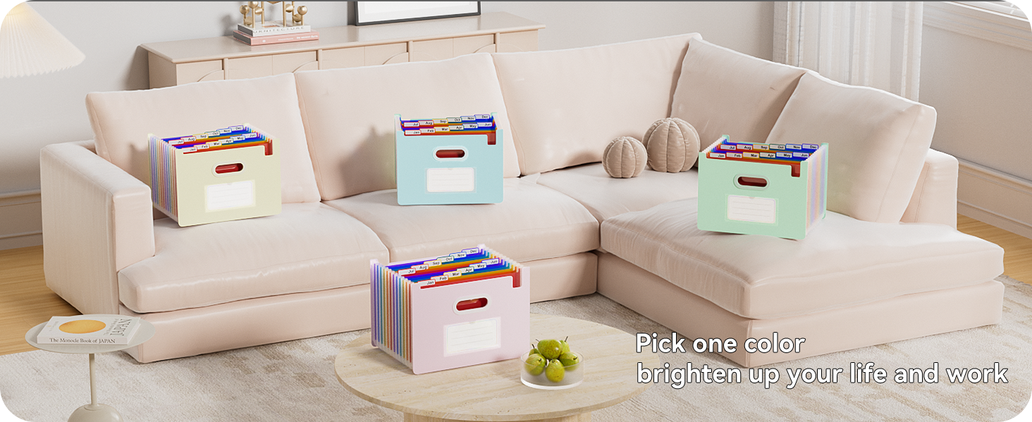 ThinkTex Accordion File Organizer, 12 - Pocket Expanding File Folders