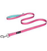 PHOEPET 5 Feet Dog Leash with Comfortable Padded Handle Easy Snap Clasp - Reflective Walking Lead...