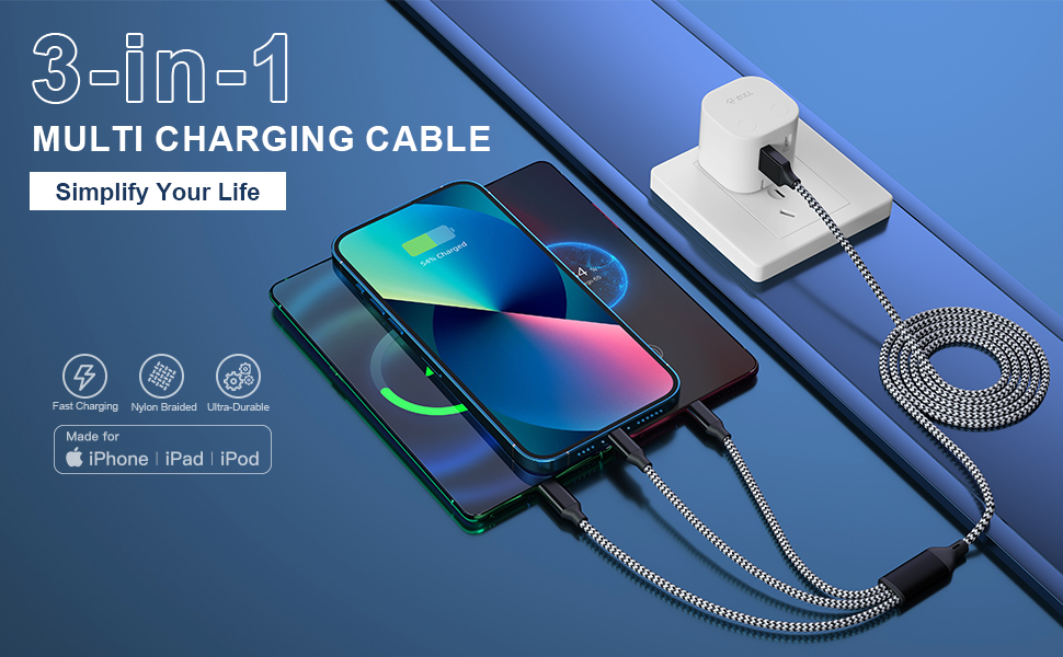 Multiple Charger Cable