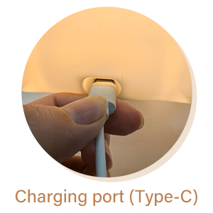charging port