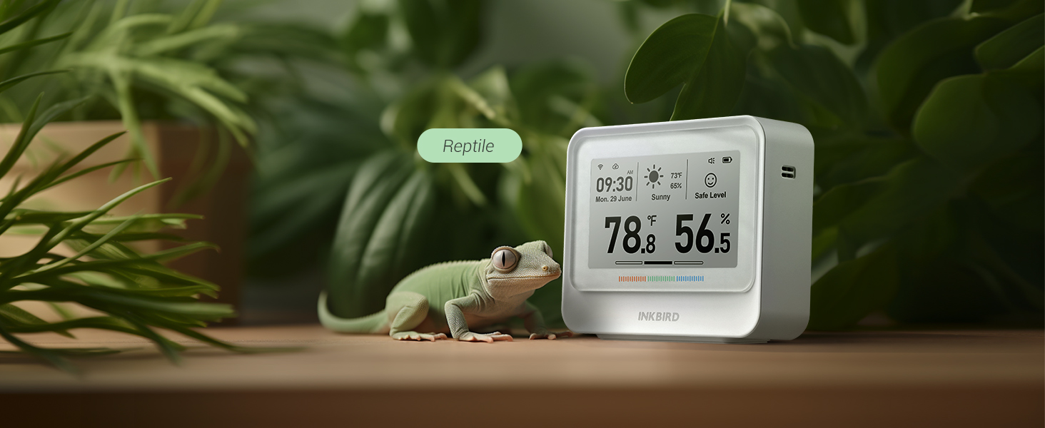 WiFi Thermometer