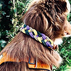 paracord dog collar
