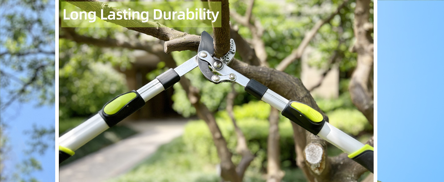 1464 x 600 C-extend loppers