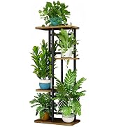 LINZINAR Plant Stand Indoor 4 Tier 5 Potted Multiple Plant Shelf Stands for Garden Corner Balcony...