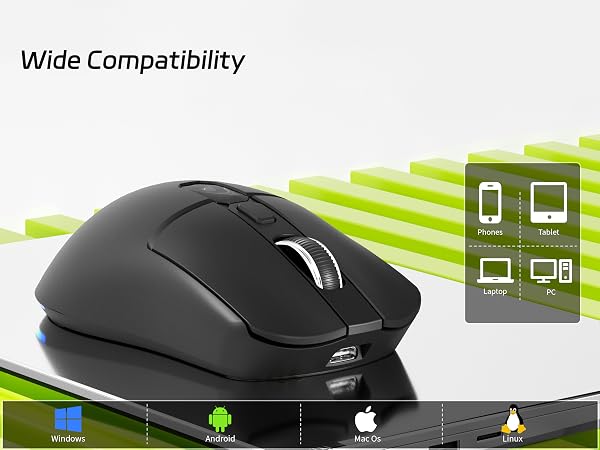 mouse