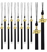 20Pcs Graduation Tassels Academic Graduation Cap Hat Tassel with 2022 Gold Charm for 2022 Graduat...