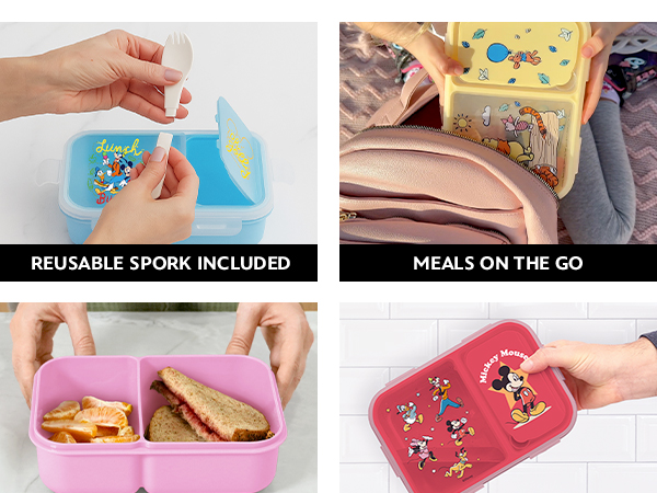 Bento Box Uses and Features