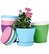 10 Pcs 5.5" Plastic Planters Indoor Flower Plant Pots, Medium Flower Seedlings Nursery Pot/Plante...