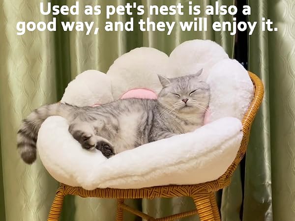 seat cushion